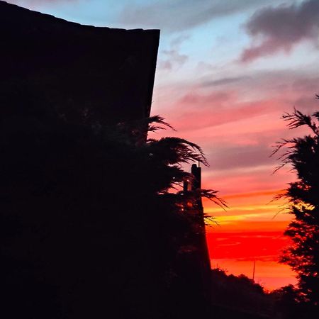 Casa Rural Quinta Los Naranjos Tigalate Zewnętrze zdjęcie